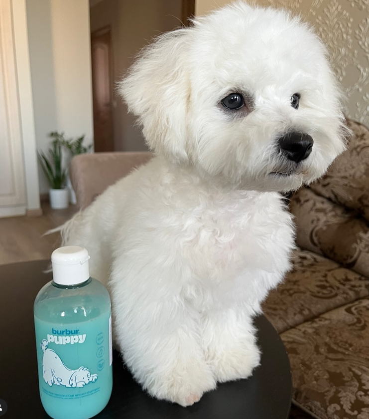 BURBUR ШАМПУНЬ ДЛЯ ЦУЦЕНЯТ 400 МЛ - Зображення 4