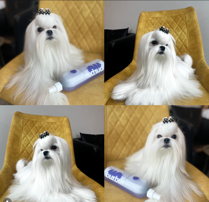 BURBUR ДВОФАЗНИЙ КОНДИЦІОНЕР 250 МЛ - Зображення 11