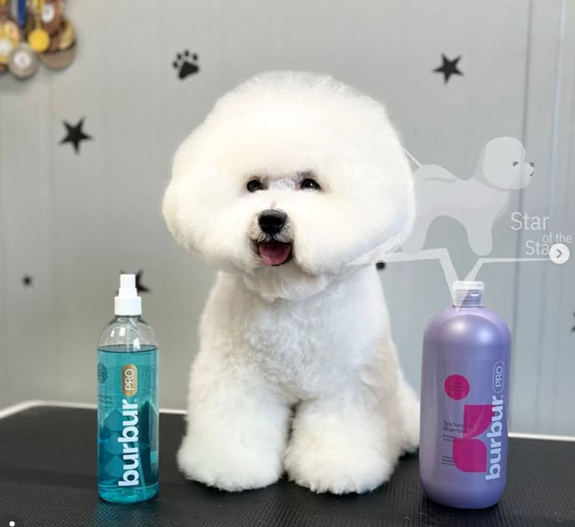 BURBUR PRO ШАМПУНЬ ТЕКСТУРУЮЧИЙ 4Л концентрат 1:10 (1:15/1:20) - Зображення 8