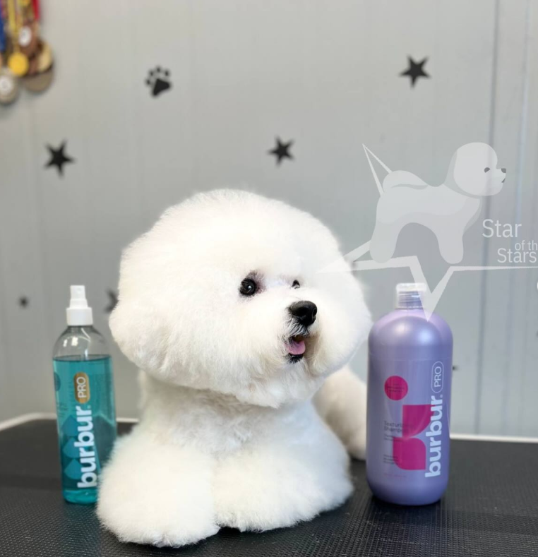 BURBUR PRO ШАМПУНЬ ТЕКСТУРУЮЧИЙ 4Л концентрат 1:10 (1:15/1:20) - Зображення 9