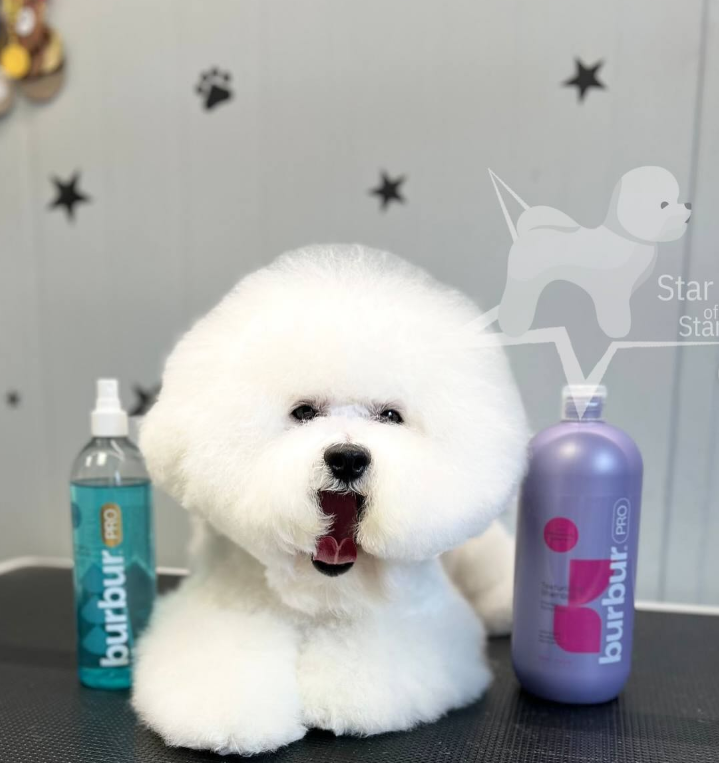 BURBUR PRO ШАМПУНЬ ТЕКСТУРУЮЧИЙ 4Л концентрат 1:10 (1:15/1:20) - Зображення 10