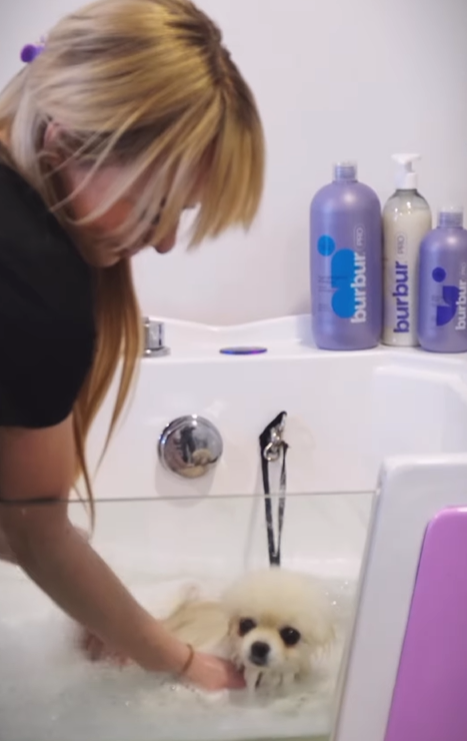 BURBUR PRO ШАМПУНЬ ГІПОАЛЕРГЕННИЙ 1л. концентрат 1:10 (1:15/1:20) - Зображення 4