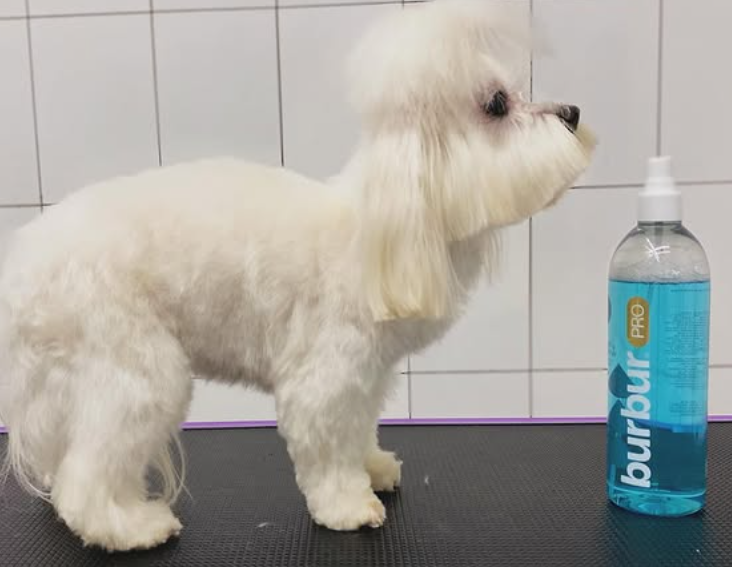 BURBUR PRO КОНДИЦІОНЕР ДЛЯ РОЗПЛУТУВАННЯ КОВТУНІВ - Зображення 5