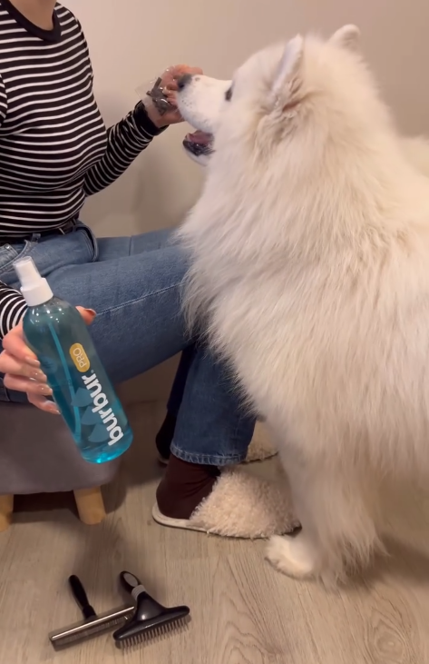 BURBUR PRO КОНДИЦІОНЕР ДЛЯ РОЗПЛУТУВАННЯ КОВТУНІВ - Зображення 8