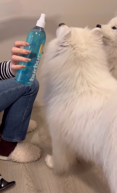 BURBUR PRO КОНДИЦІОНЕР ДЛЯ РОЗПЛУТУВАННЯ КОВТУНІВ - Зображення 9