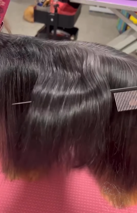 BURBUR PRO КОНДИЦІОНЕР ДЛЯ РОЗПЛУТУВАННЯ КОВТУНІВ - Зображення 4