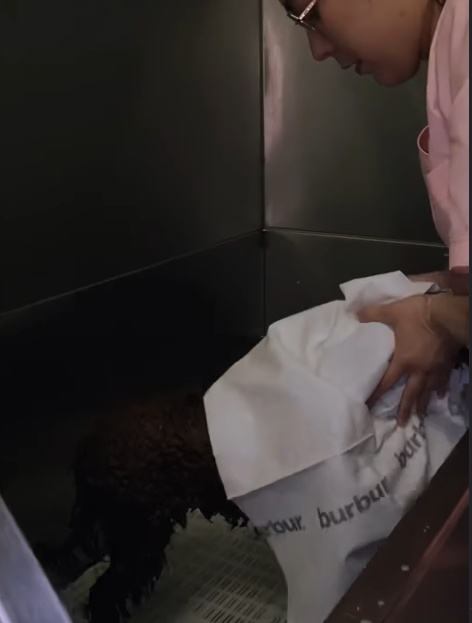 СУПЕРПОГЛИНАЮЧИЙ 100% ЕКО РУШНИК 5 шт. - Зображення 5